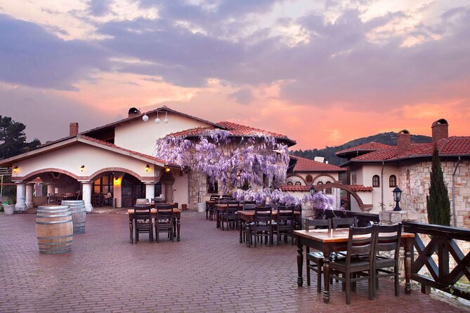 Kusadasi Shore Excursions Ephesus and Wine Tasting Tours - From Kusadasi port to the ruins of Ephesus