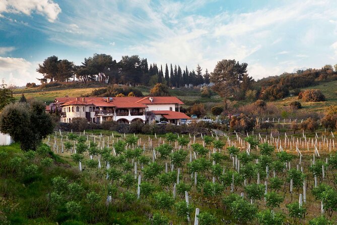 Kusadasi Shore Excursions Ephesus and Wine Tasting Tours - The guides and the feel of the day