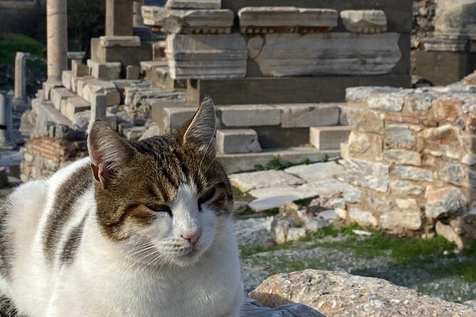 LESS Walking Tour : Private Ephesus, House of Virgin Mary, Temple - The House of Virgin Mary and its pilgrimage story