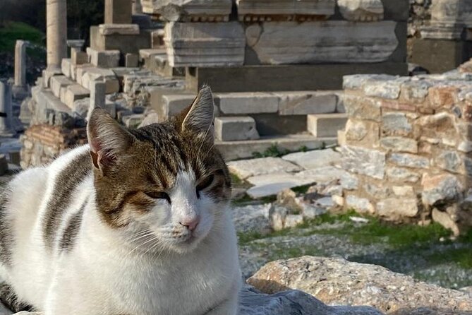NO HIDDEN FEES : Ephesus, Virgin Mary's House, St. John Basilica - Walking, transport, and the pace of the day