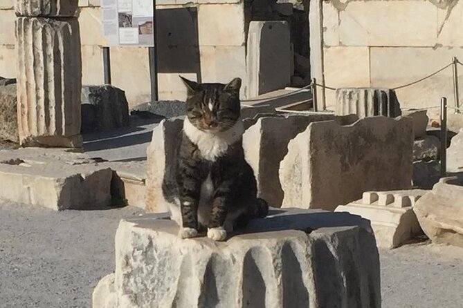 NO HIDDEN FEES Private Ephesus with skip the line tickets - Port pickup, timing, and the return to your ship