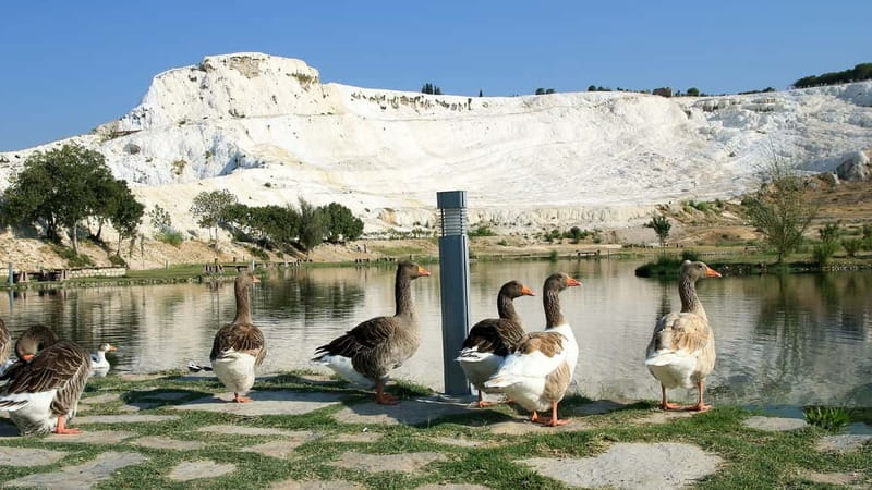 Pamukkale and Hierapolis: Full-Day Private or Group Tour - Who will enjoy this day most