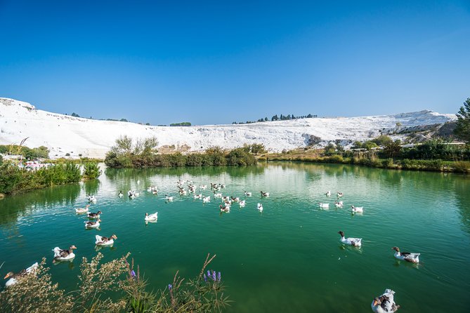 Pamukkale Day Tour from Selcuk - Is $150.60 good value?