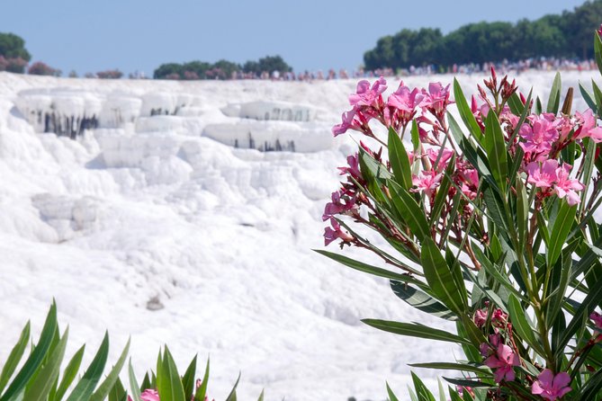 Pamukkale Day Tour from Selcuk - The drive from Selçuk and the early start