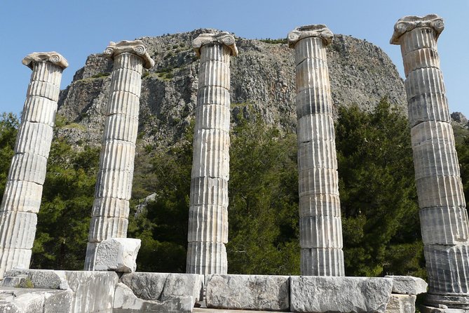Priene Miletos Didyma (PMD) Tour From Kusadasi Port / Hotels - Priene and the ancient city grid