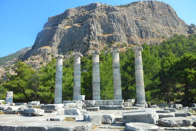Priene, Miletus, and Didyma Day Tour from Kusadasi - Priene: a hillside city with a grand view