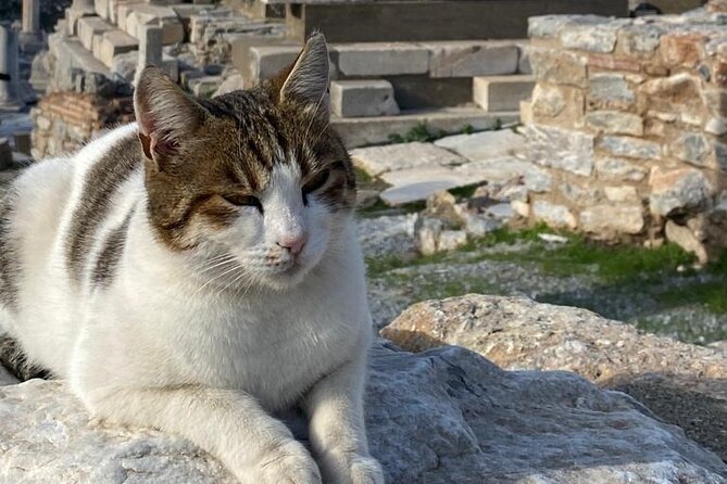 Private Ephesus and Artemis Temple Half Day Tour / On Time Return - Who should book this tour