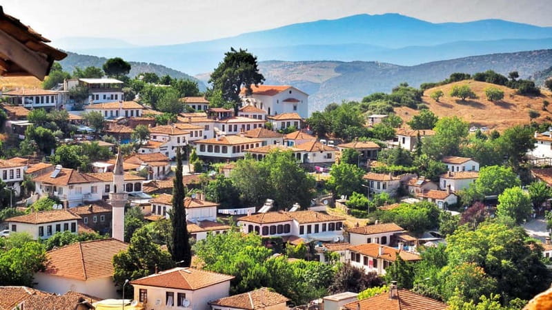 Private Ephesus and Sirince Village Tour Cruiser Only - From Kuşadası Port to the ruins of Ephesus