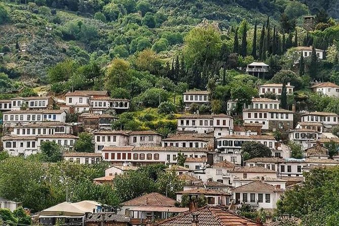 Private Ephesus & Sirince Village Tour - What the private guide adds at Ephesus