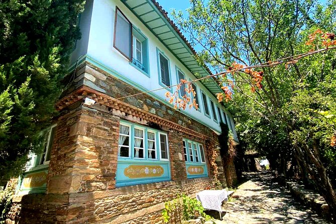 Private Ephesus Tour & Cooking Class in Village - Selcuk, workshops, and possible additions