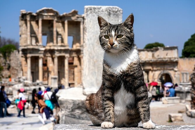 Private Ephesus Tour from Kusadasi - Why Ephesus is the real reason to go