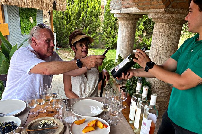 Private Ephesus Tour & Wine Tasting & Mediterrranean Lunch - What the $169 price really covers