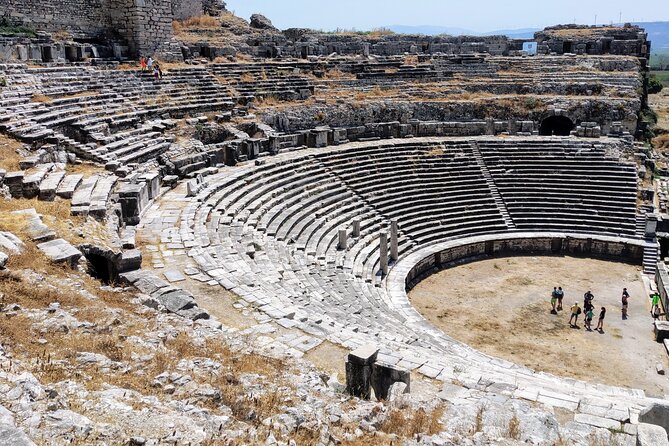 Private Full-Day Ephesus Tour with Miletus and Didyma for Cruise Guests - Walking through Ephesus and the Library of Celsus