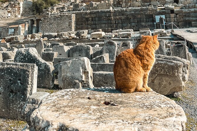 Private Half Day Ephesus Shore Excursion from Kusadasi - What the Temple of Artemis visit adds