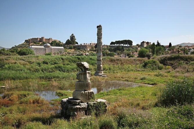 Private Tour: Best of Ephesus for Cruise Passengers. - What the private format is worth at $251.66