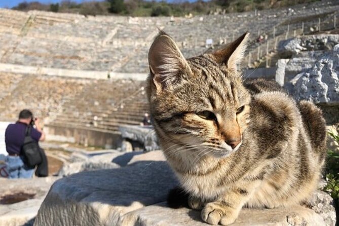 Private Tour : Biblical Ephesus Tour for Cruisers from Kusadasi ( Ephesus ) Port - Shopping stops need a clear conversation