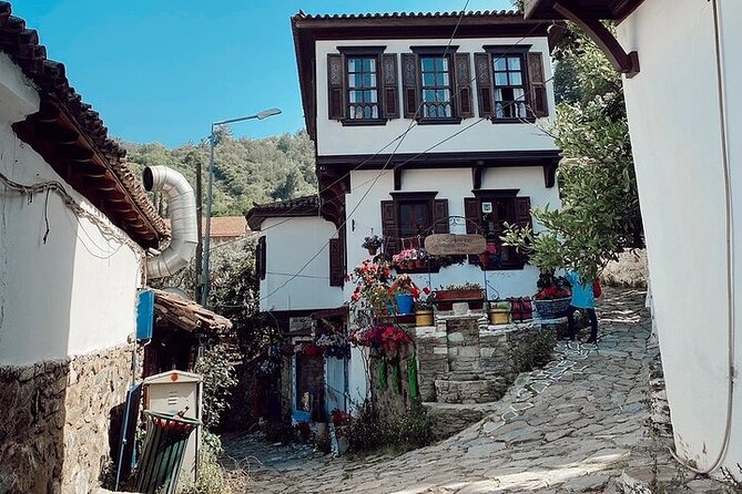 Private Tour of Ephesus, Artemis Temple and Sirince Village - Walking through Ephesus for two hours