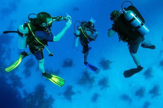 Scuba Diving Tour From Kusadasi / Selcuk - A Gentle First Step Into Scuba