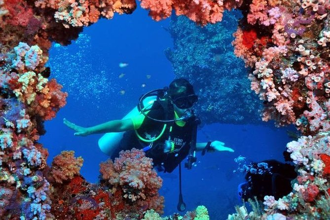 Scuba Diving Tour From Kusadasi / Selcuk - Snorkeling, Sun, and Lunch on the Boat