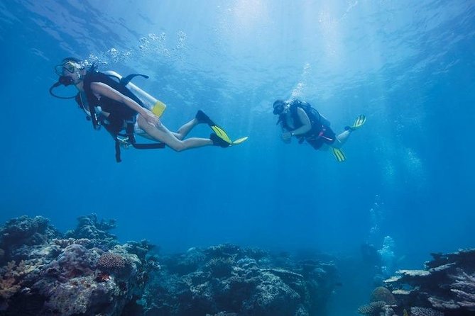 Scuba Diving Tour From Kusadasi / Selcuk - The Timing and Cruise-Passenger Advantage