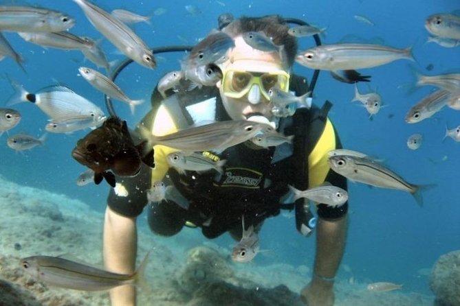 Scuba Diving Tour From Kusadasi / Selcuk - Who Will Enjoy This Most