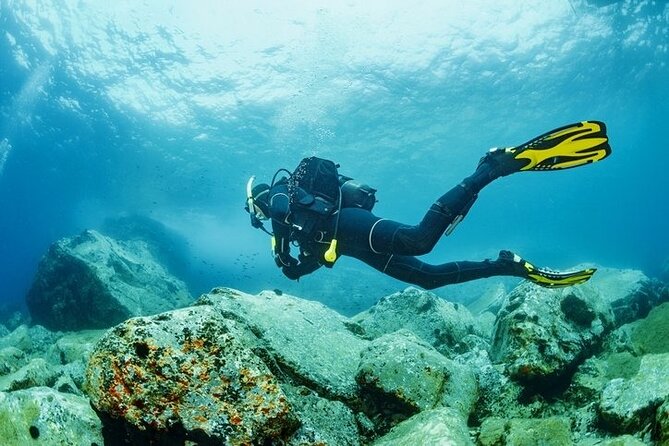 Scuba Diving Tour From Kusadasi / Selcuk - The Safety Briefing and Equipment Check