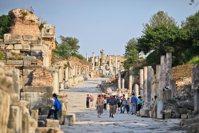 Shore Excursion 1 or 2 Day Private Tour from Kusadasi Port for Ephesus-Pergamon - What the guide adds to the experience