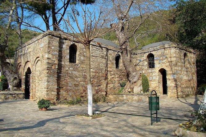 SKIP-THE-LINE: Group or Private Ephesus & Artemis Tour with LUNCH - Skip-the-line access saves time, but check the ticket price