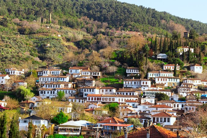 Small Group Ephesus & Sirince Village Tour From Kusadasi / Selcuk Hotels - The real cost of the $50 price