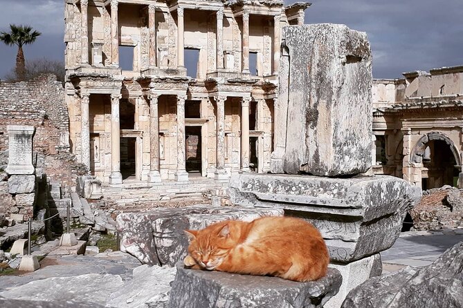 Traveler's choice: Ephesus, Terrace House Tour WITH TICKETS - Carpet and leather stops: a possible wrinkle
